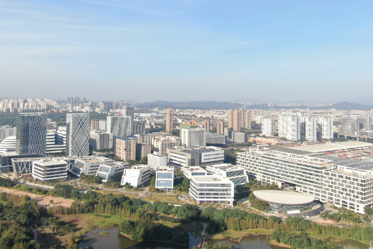 深圳大佛药业股份有限公司